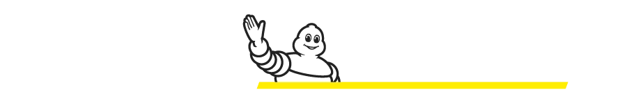 Logo Sole Michelin